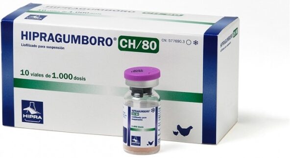 HIPRAGUMBORO CH/80 VACCINE