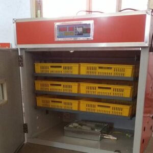 FRD-528 Incubator & Hatcher